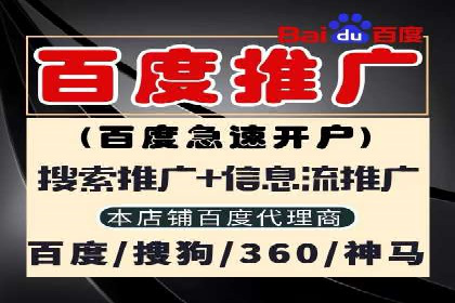 竞价排名案例：行业领先企业经验